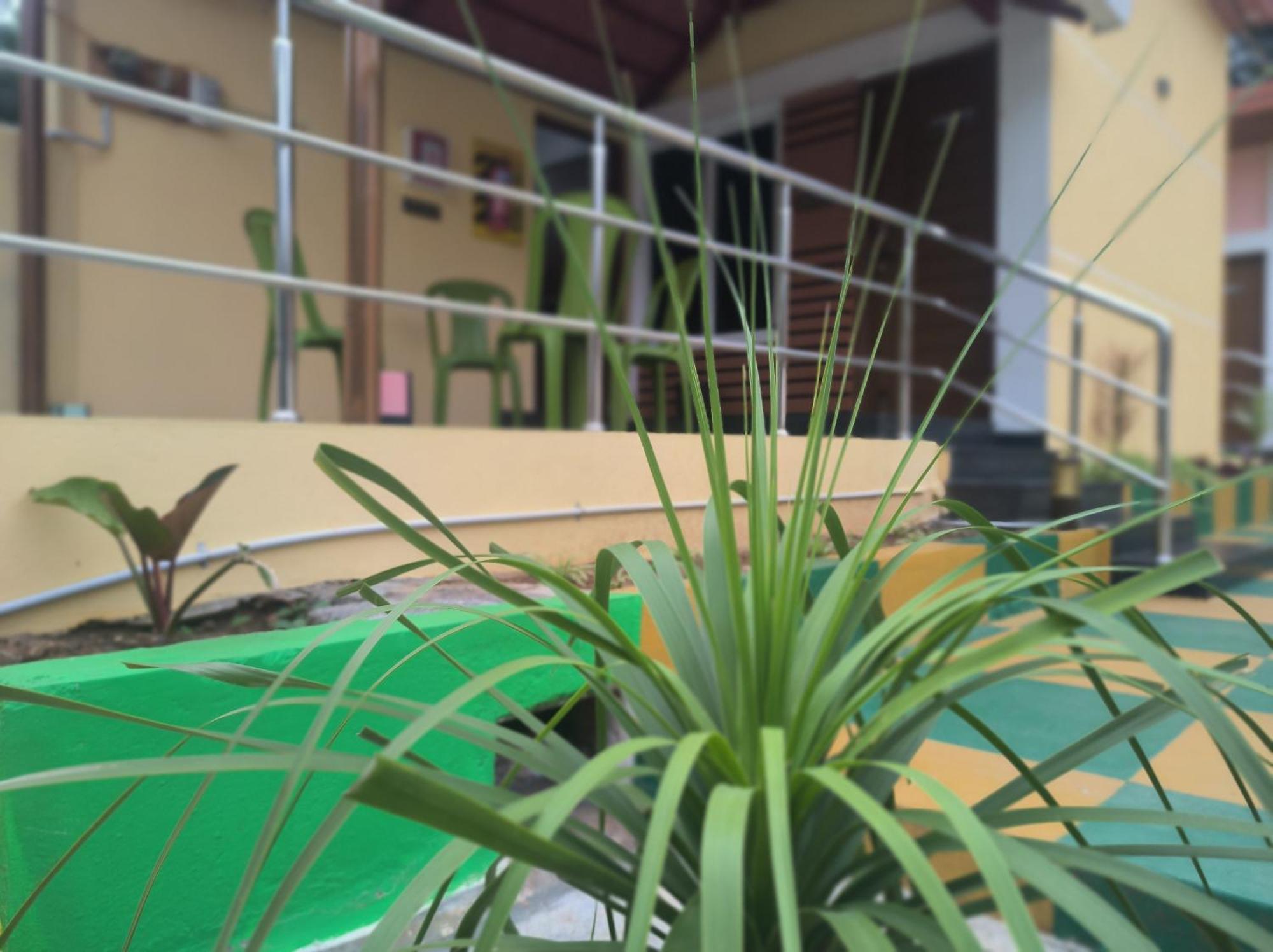 Kanna Garden By Bodhi Bungalows 科利希尔斯 外观 照片