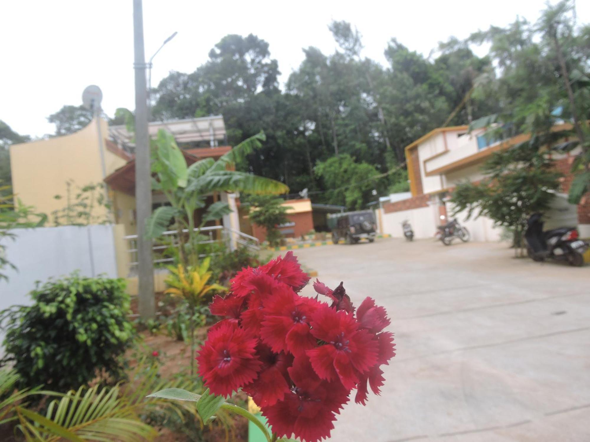 Kanna Garden By Bodhi Bungalows 科利希尔斯 外观 照片