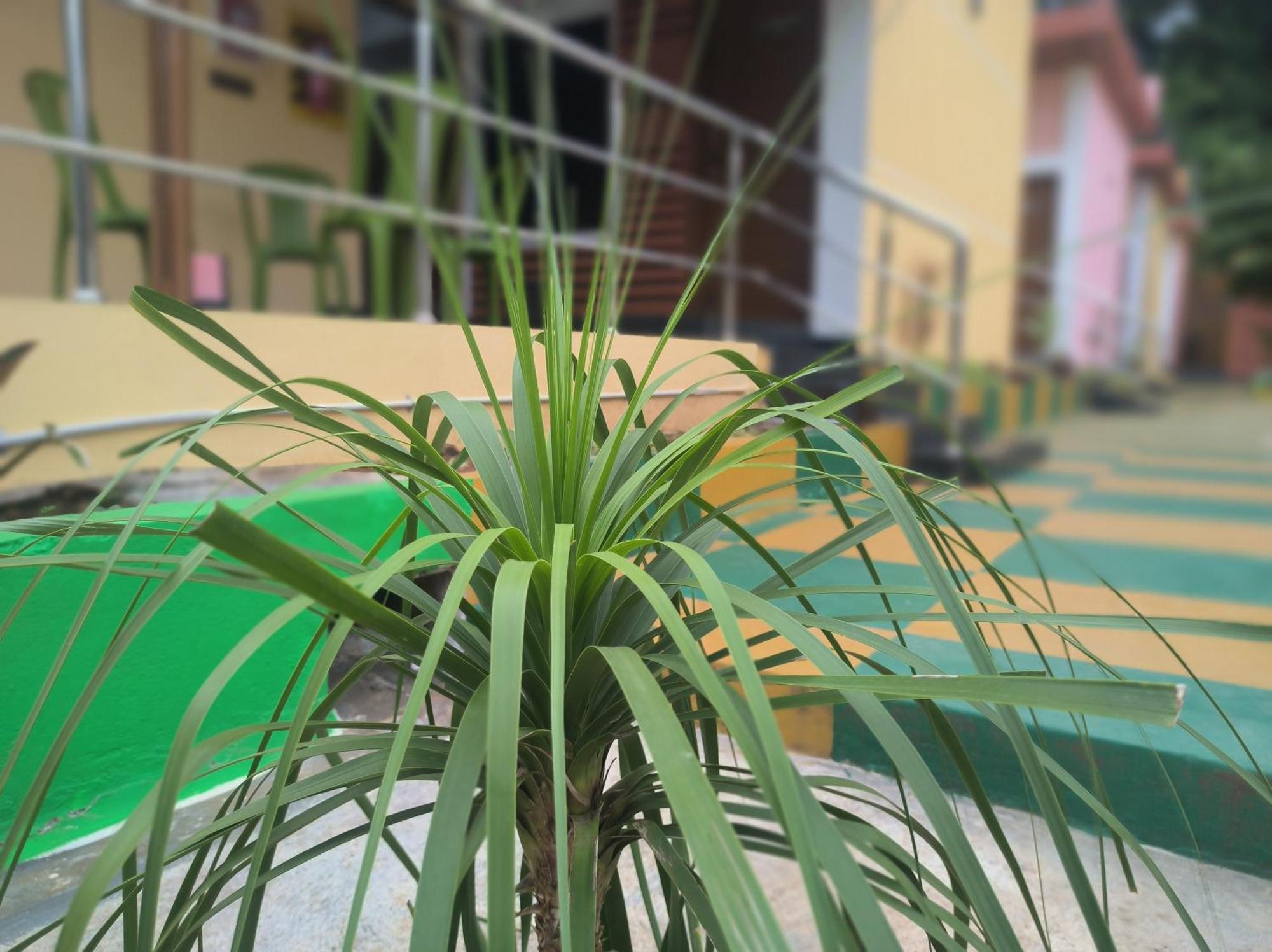 Kanna Garden By Bodhi Bungalows 科利希尔斯 外观 照片
